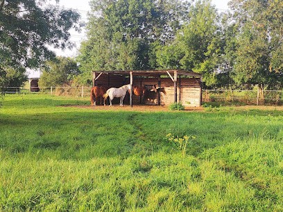 Le Jardin Equestre, Pension pour Chevaux à Druye