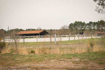 Les Ecuries De Landriole, Pension pour Chevaux à Castelnau-de-Médoc