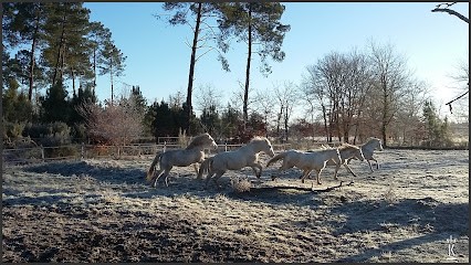 Domaine Du Celtis, Centre Equestres à Giscos