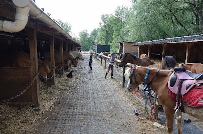 Cheval Détente Des Berges Du Gave, Centre Equestres à Laroin