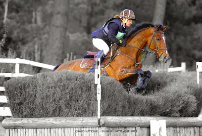 Écurie Houssais, Pension pour Chevaux à Saint-Sulpice-la-Forêt