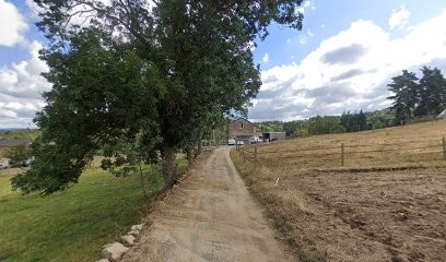 Domaine Du Garay, Pension pour Chevaux à Yssingeaux