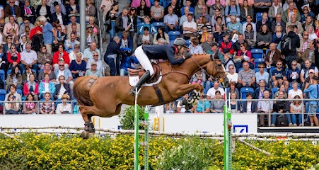 Ecurie Briand Chevalier, Centre Equestres à Plouër-sur-Rance