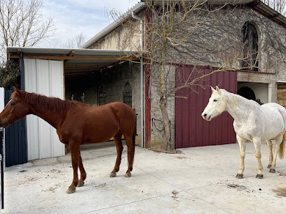 Ecurie de Faudade, Pension pour Chevaux à Lévignac