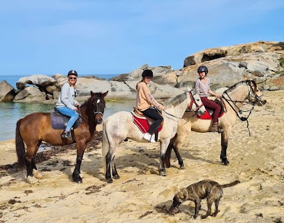 Equestrian Center L' Ypsos, Centre Equestres à Pigna