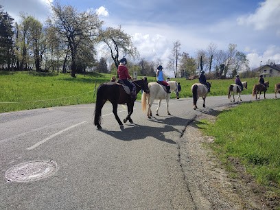 Pony Club Les Crinières D'ange, Centre Equestres à La Motte-Servolex