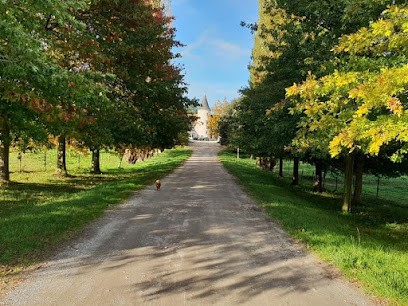 Les Écuries Du Domaine Du Taillan, Centre Equestres à Saint-Martin-d'Ary