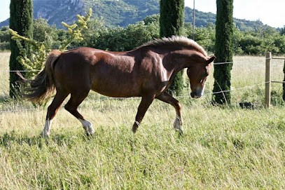 Centre Équestre LA SYRAH, Centre Equestres à Saint-Péray