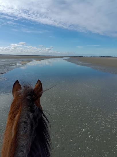 CAVALCADE, Centre Equestres au Crotoy