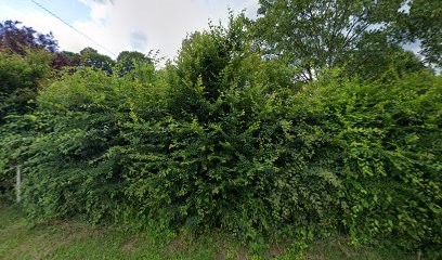 Crins Blancs, Centre Equestres à Relanges