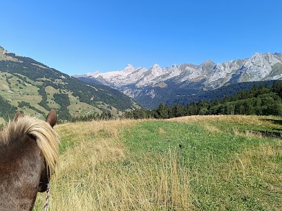 Equit'horizon, Centre Equestres au Grand-Bornand