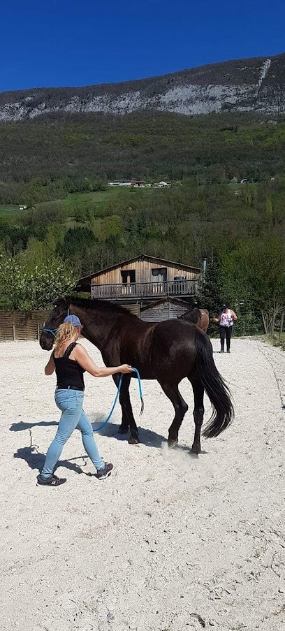 Equestrian Center Des 2 Vallées, Centre Equestres à Serrières-en-Chautagne