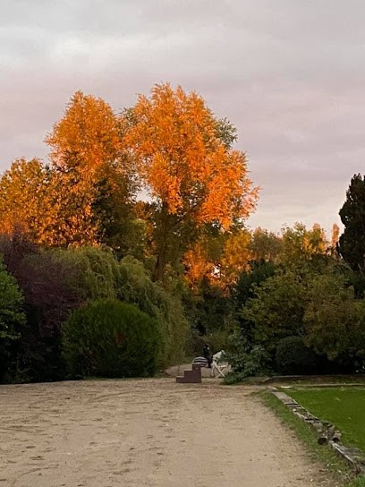 Ecurie, Haras Des Saules, Centre Equestres à Férolles-Attilly