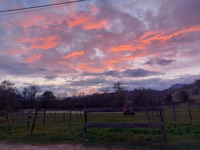 Écurie De Coise, Centre Equestres à Coise-Saint-Jean-Pied-Gauthier