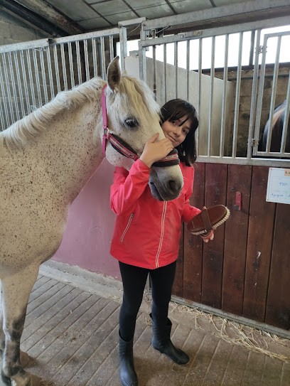 CERCLE HIPPIQUE DIJONNAIS, Centre Equestres à Dijon