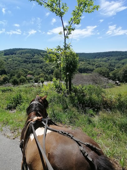Barn Ranch Pony, Centre Equestres à Laurière