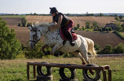 Les Écuries Du Crin Awa, Centre Equestres à Poulan-Pouzols