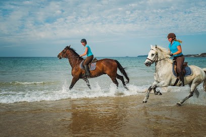 Equestrian Center Bretagne, Centre Equestres à Plurien