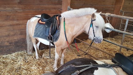 Les Écuries Du Champ Du Vent, Centre Equestres à Thiéfosse