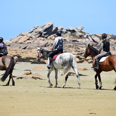 Riding Saint Samson, Centre Equestres à Pleumeur-Bodou