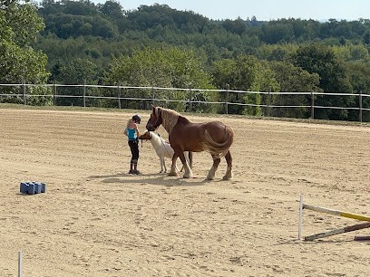 Equestrian Center Du Caledo, Centre Equestres à Mazerolles