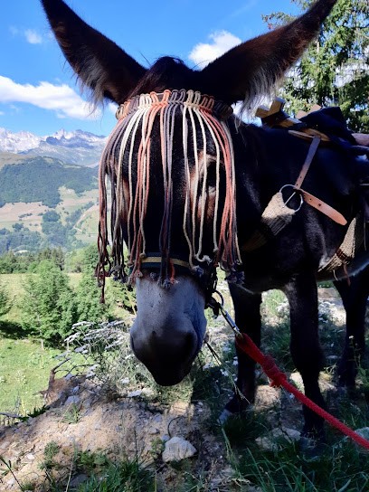 Farm De Valmo'bourricot, Centre Equestres aux Avanchers-Valmorel
