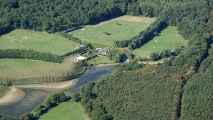 Ecurie de la Triballe / élevage cane corso, Pension pour Chevaux à Seichebrières