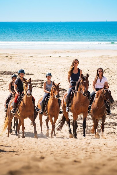 Ecuries Laouen, Pension pour Chevaux à Auray