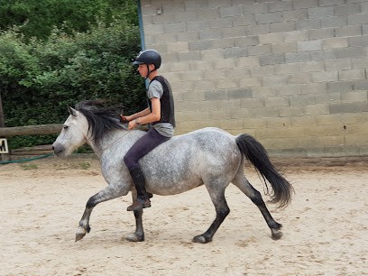 Les Ecuries De La Futaie, Centre Equestres à Marcoussis