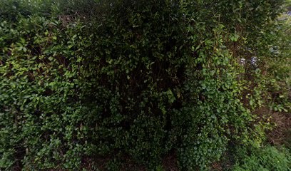 Les Crinières de l'Aube - Location de vacances et randonnées équestres Gers, Centre Equestres à Lagraulet-du-Gers