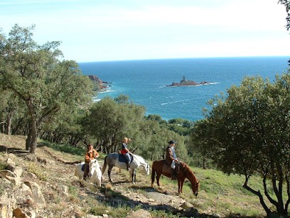 LES 3 FERS, Centre Equestres à Saint-Raphaël