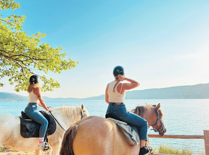 Verdon Equitation Centre Équestre aux Salles-sur-Verdon
