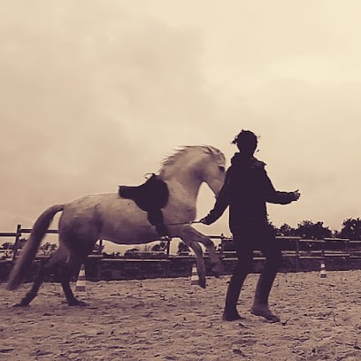 Ballade Des Sens, Centre Equestres à Québriac