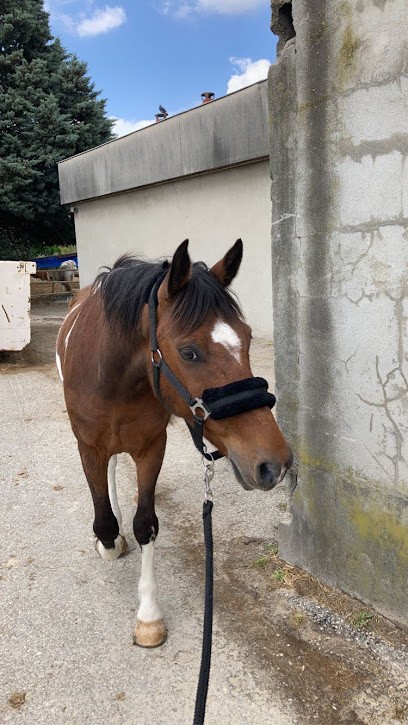 Equestrian Center Lyon Parilly, Centre Equestres à Vénissieux
