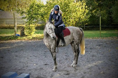 Equestrian Center -, Centre Equestres à Domalain
