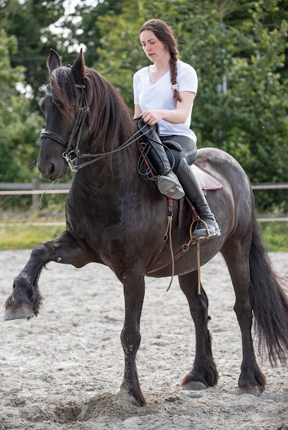 Pauline Le Verger - Travail Du Cheval, Pension Pour Chevaux à Trégomeur