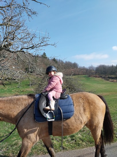 Horse Riding Ecole Du Closel, Centre Equestres au Thillot