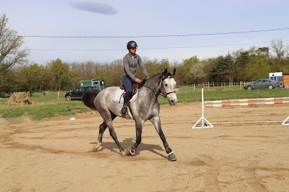 Écurie Du Chemin, Pension pour Chevaux à Poncins