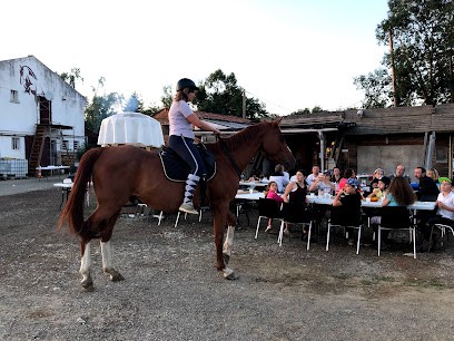 Poney-club De Fonsorbes, Centre Equestres à Fonsorbes