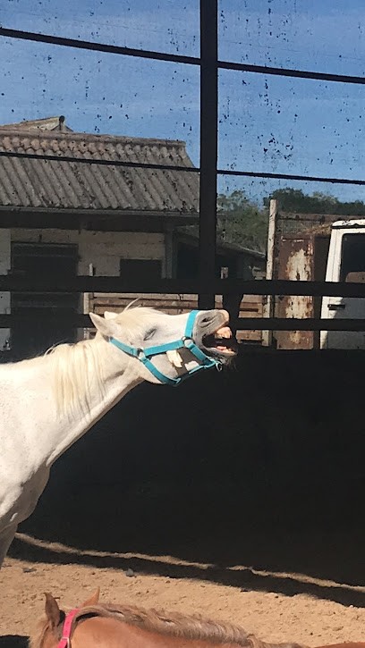 Equestrian Center De Saint-Leu, Centre Equestres à Seine-Port