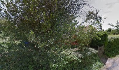 Les Ecuries Des Tenons, Centre Equestres à Saint-Léger-sur-Vouzance