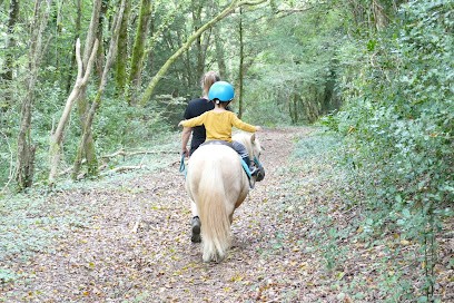 Horse Farm Du Litli Hestur, Centre Equestres à Saint-Coulitz