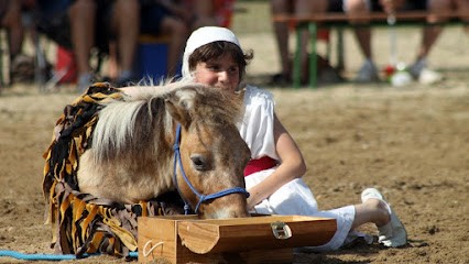 Equestrian Center Des Rollats, Centre Equestres à Saint-Rémy-en-Rollat