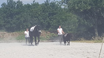 Haras De Kita, Centre Equestres à Langon