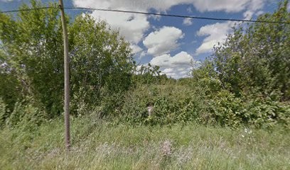 Écurie des lunes, Elevage Moon, Centre Equestres à Juaye-Mondaye