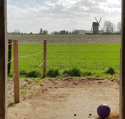 Écurie De Vertain, Pension pour Chevaux à Templeuve-en-Pévèle