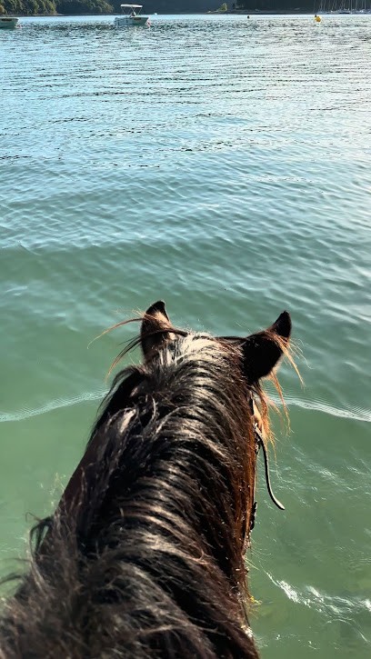 Ferme Jura équestre, Centre Equestres à Crenans