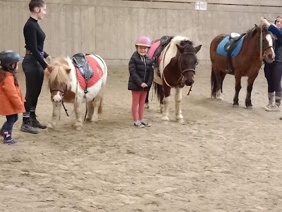 Farm Equestre De Kerbiriou, Centre Equestres à Plufur
