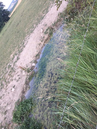 SCEA Cahagne, Centre Equestres à Mézy-sur-Seine