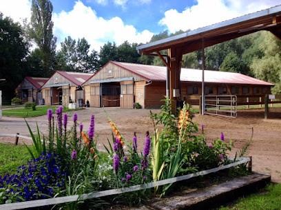 Ecole D'equitation, Centre Equestres à Saint-Avold